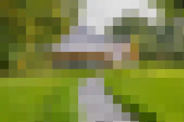 Langeraarseweg 79 Ter Aar thumbnail 64