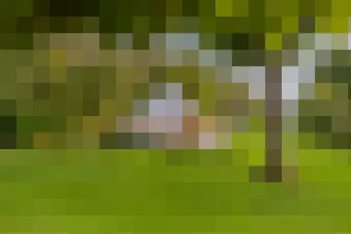 Langeraarseweg 79 Ter Aar thumbnail 65