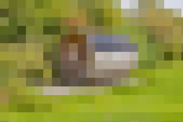 Langeraarseweg 79 Ter Aar thumbnail 66