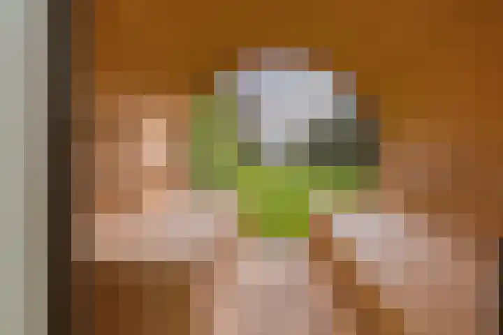 Langeraarseweg 79 Ter Aar thumbnail 67