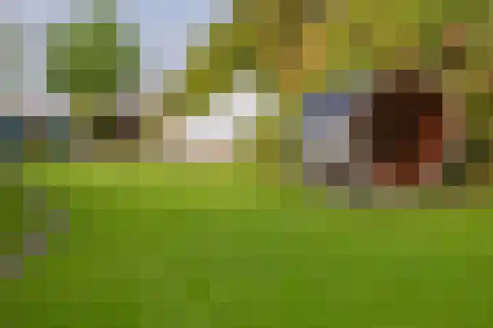 Langeraarseweg 79 Ter Aar thumbnail 68