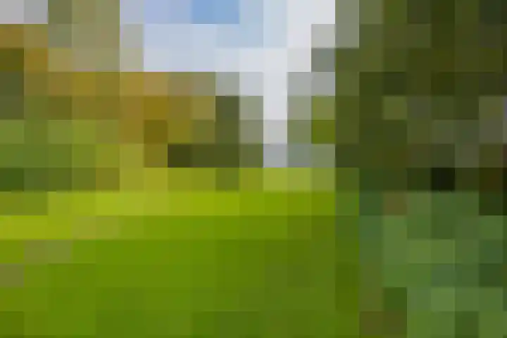 Langeraarseweg 79 Ter Aar thumbnail 69