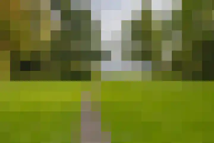 Langeraarseweg 79 Ter Aar thumbnail 70