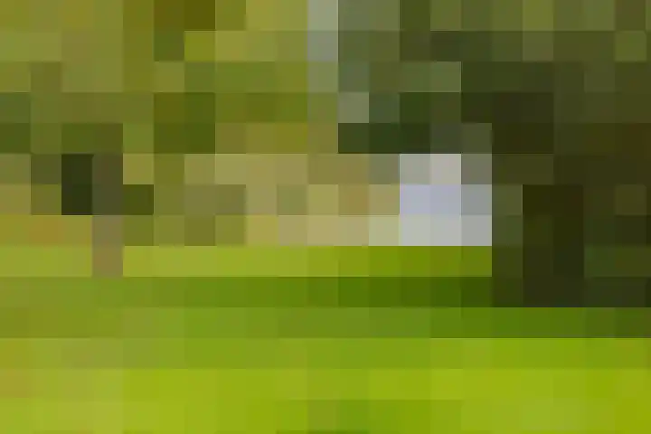 Langeraarseweg 79 Ter Aar thumbnail 71