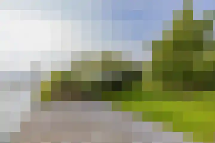 Langeraarseweg 79 Ter Aar thumbnail 73