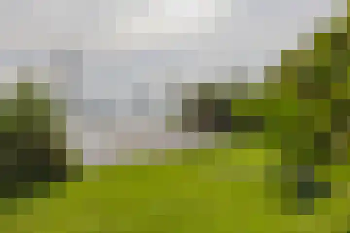 Langeraarseweg 79 Ter Aar thumbnail 75