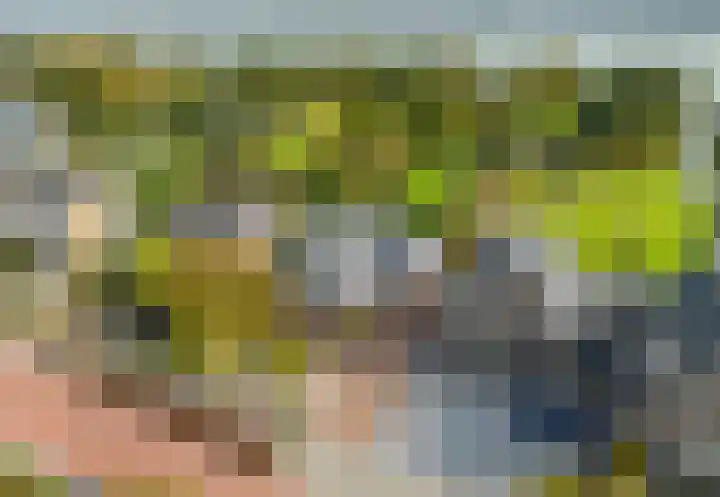 Langeraarseweg 79 Ter Aar thumbnail 77