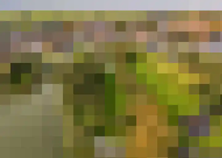 Langeraarseweg 79 Ter Aar thumbnail 78