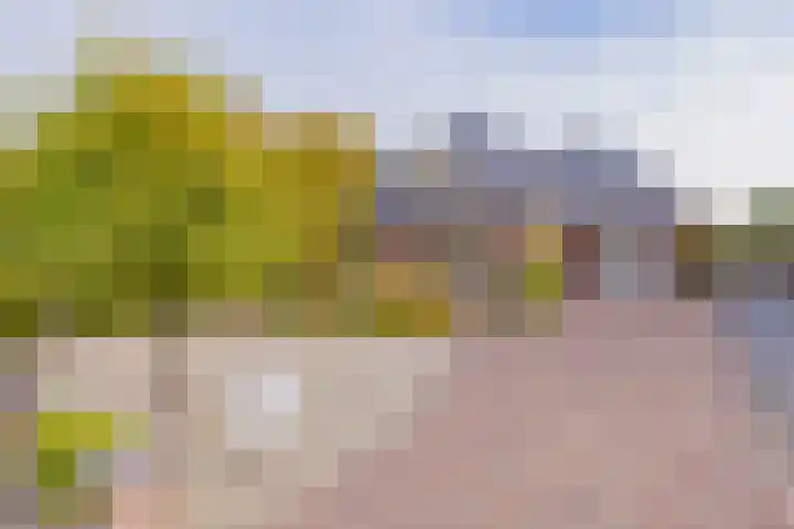 Langeraarseweg 79 Ter Aar thumbnail 79
