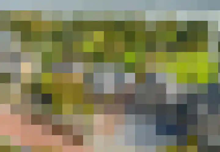 Langeraarseweg 79 Ter Aar thumbnail 8