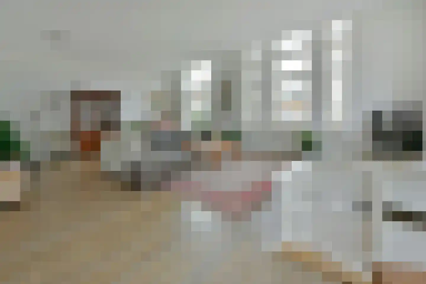 Langeraarseweg 82 A Ter Aar thumbnail 11