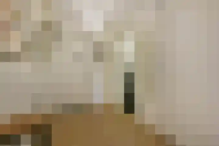 Langeraarseweg 82 A Ter Aar thumbnail 16