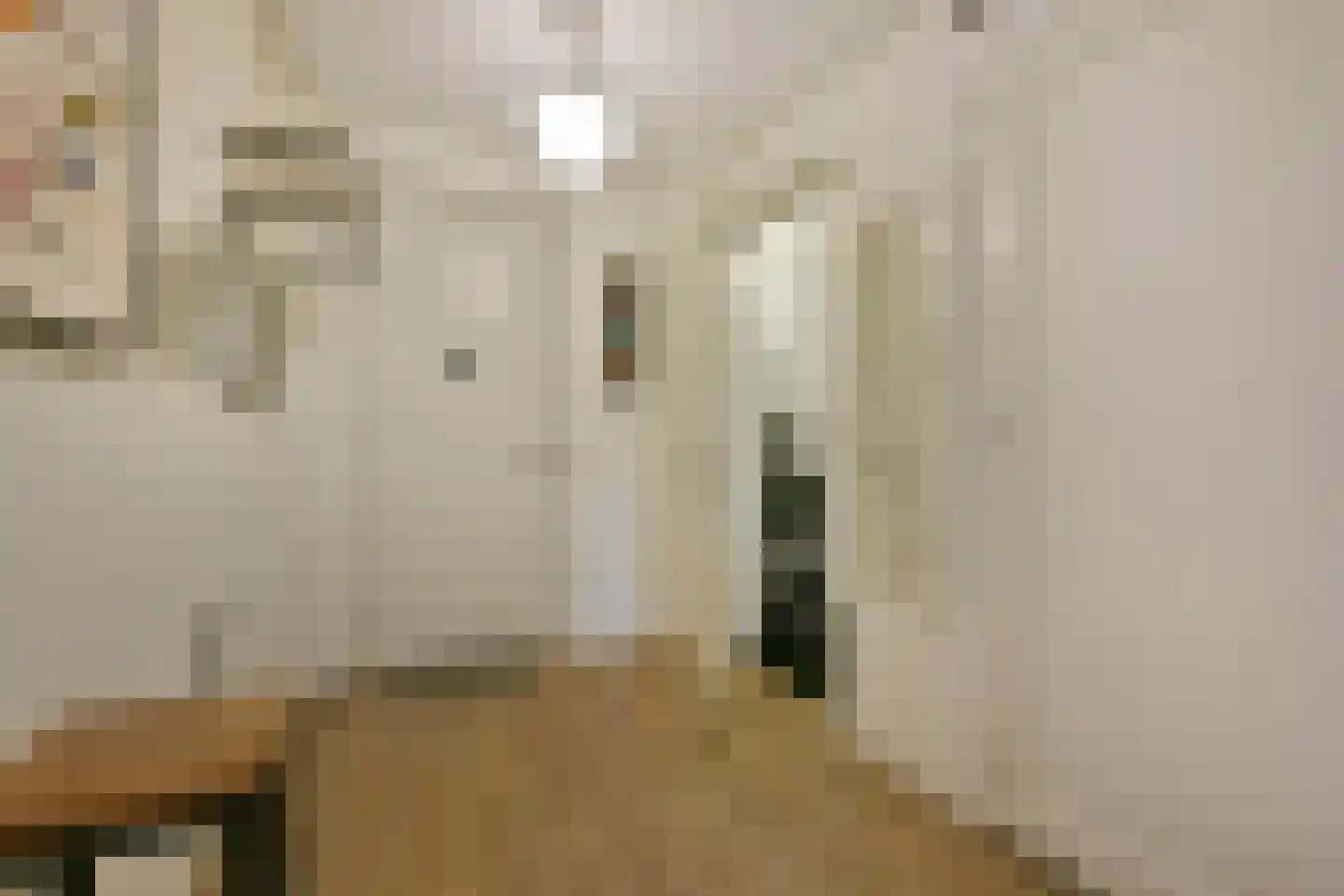 Langeraarseweg 82 A Ter Aar thumbnail 16