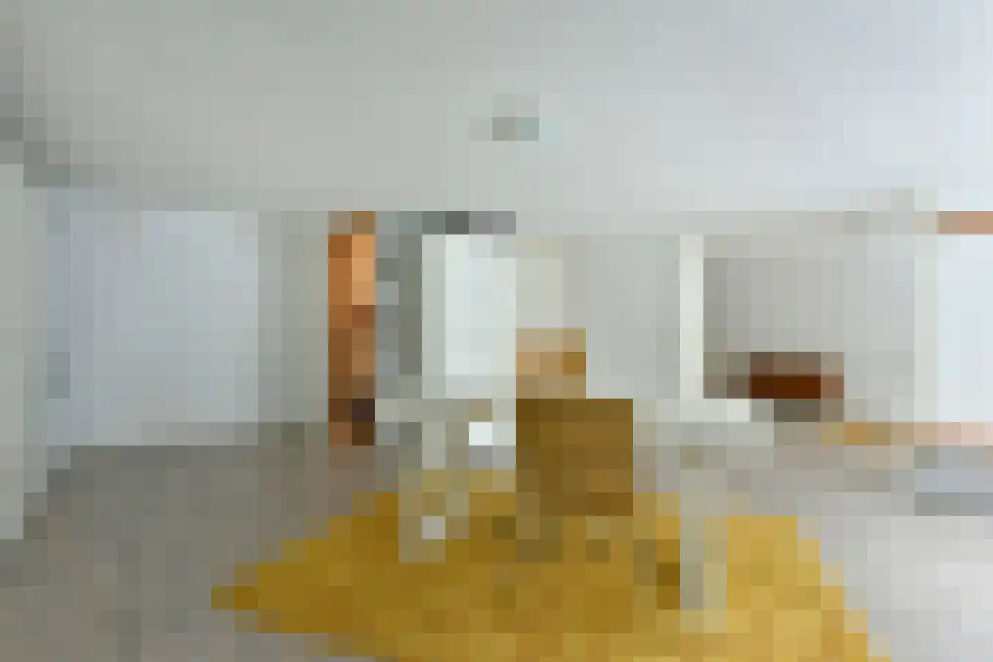 Langeraarseweg 82 A Ter Aar thumbnail 24