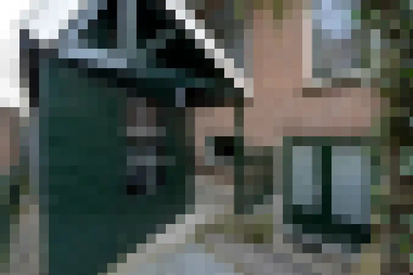 Langeraarseweg 82 A Ter Aar thumbnail 36