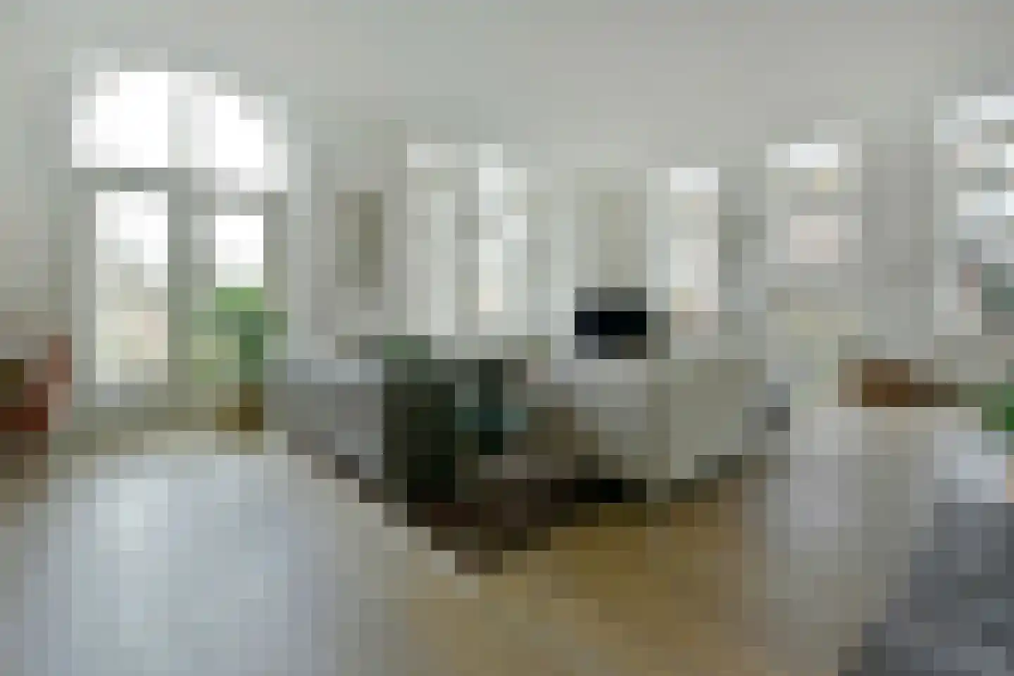 Langeraarseweg 82 A Ter Aar thumbnail 4
