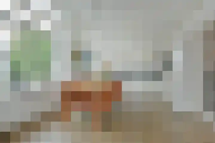Langeraarseweg 82 A Ter Aar thumbnail 5
