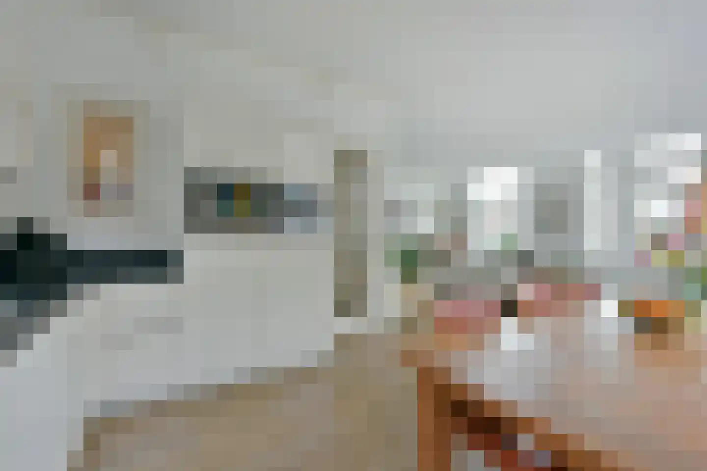 Langeraarseweg 82 A Ter Aar thumbnail 7