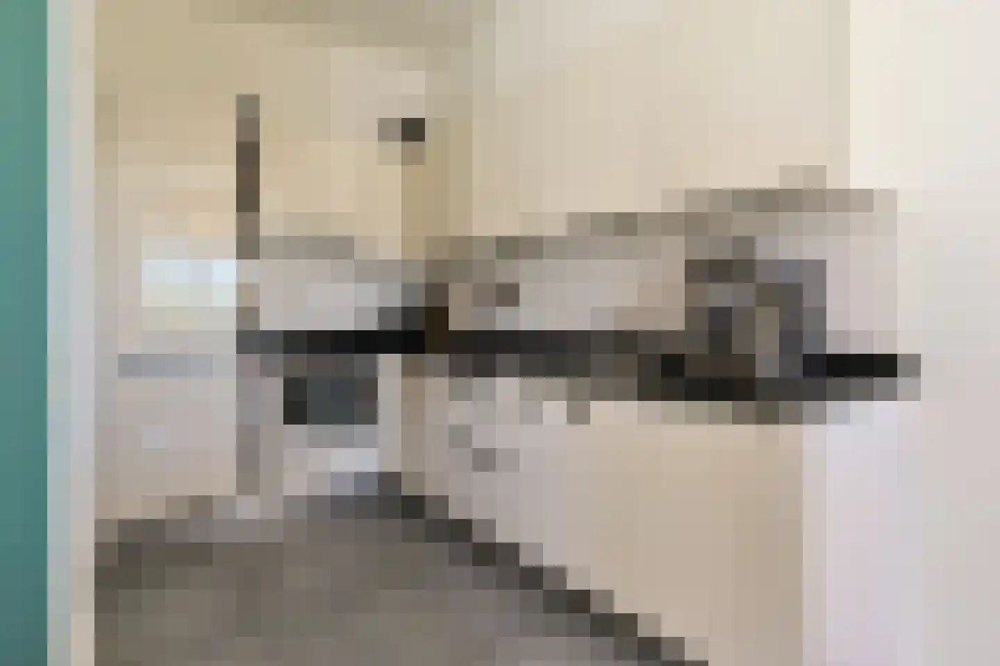 Langeraarseweg 82 C Ter Aar thumbnail 26