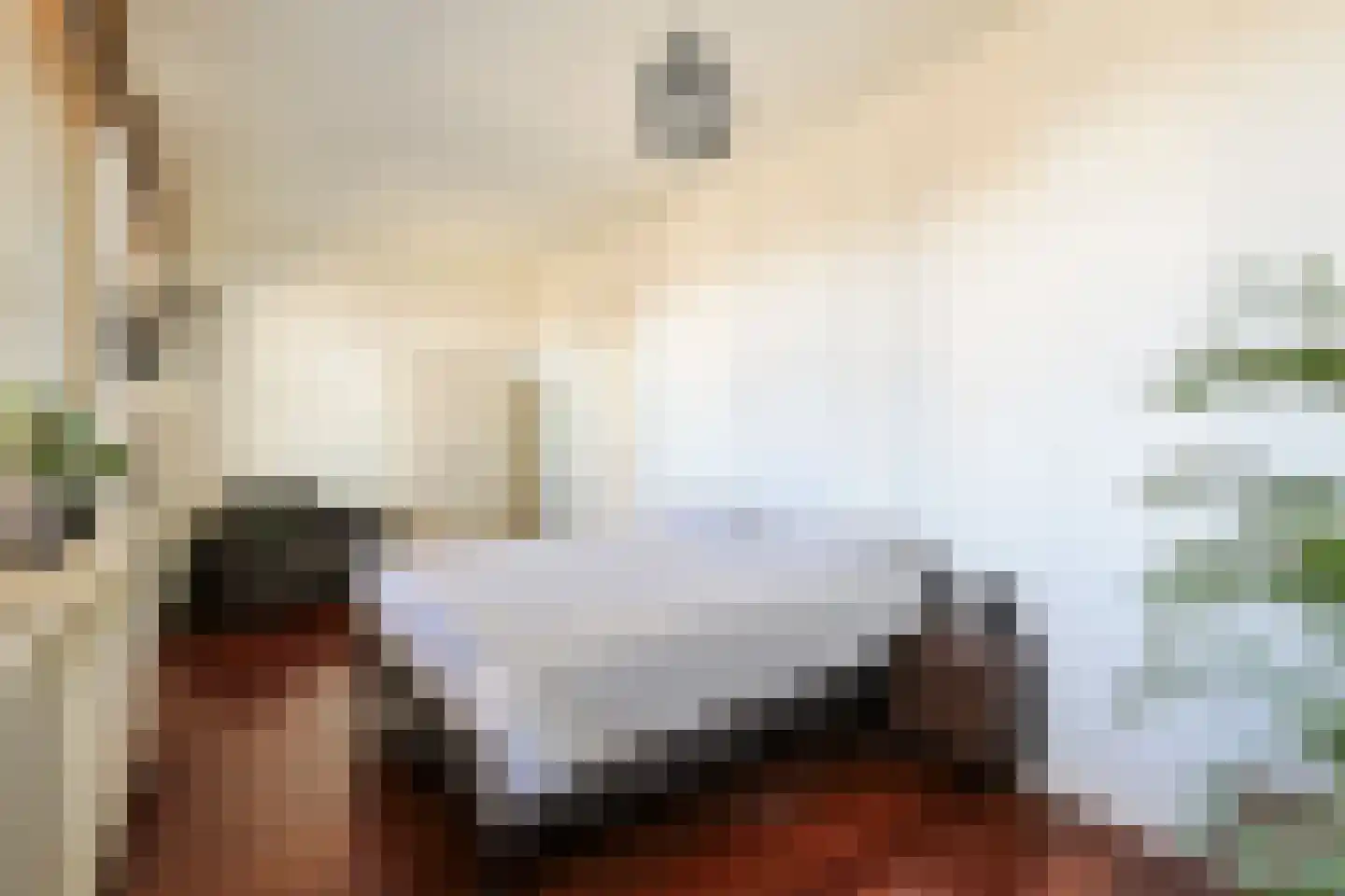 Langeraarseweg 82 C Ter Aar thumbnail 34