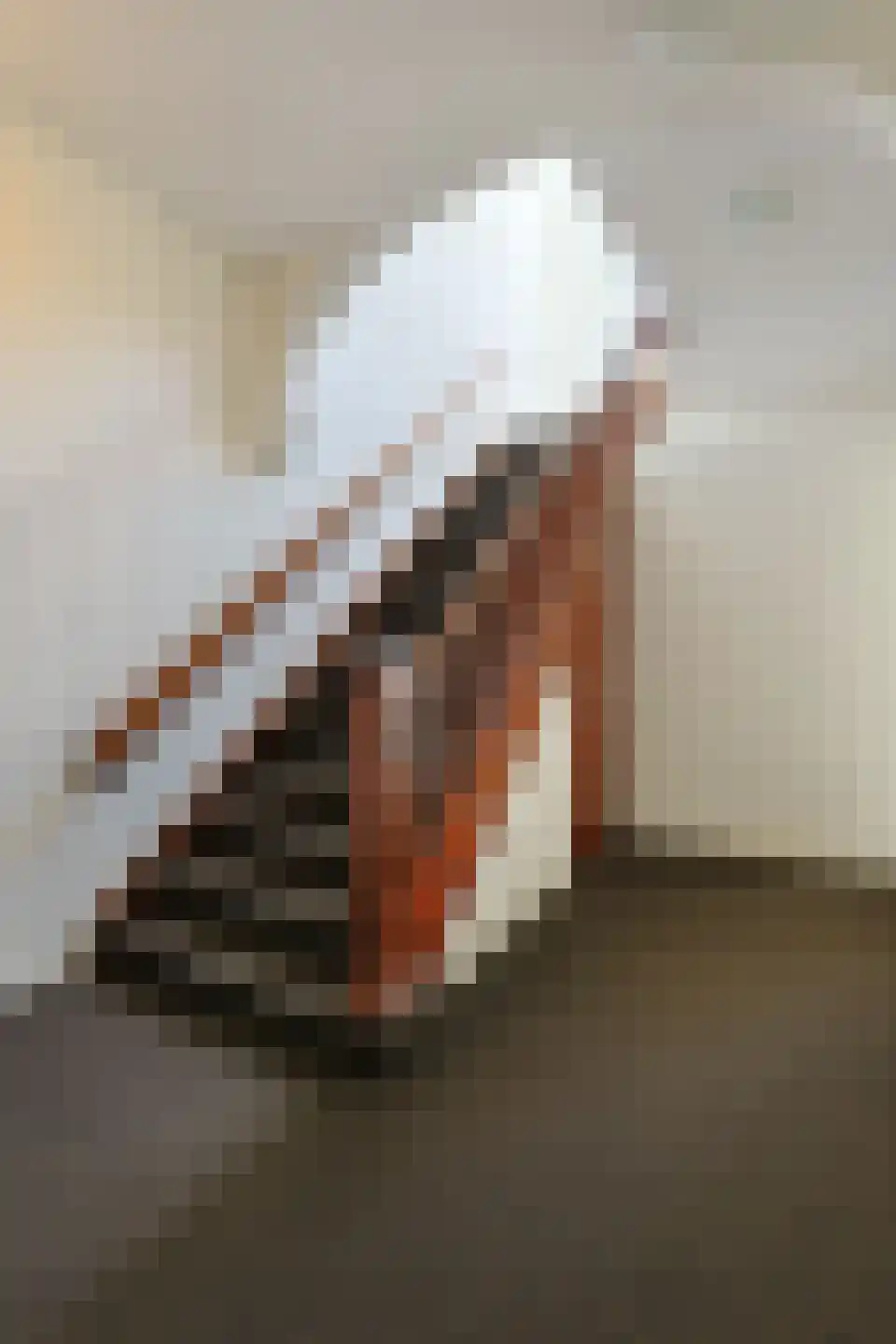 Langeraarseweg 82 G Ter Aar thumbnail 12