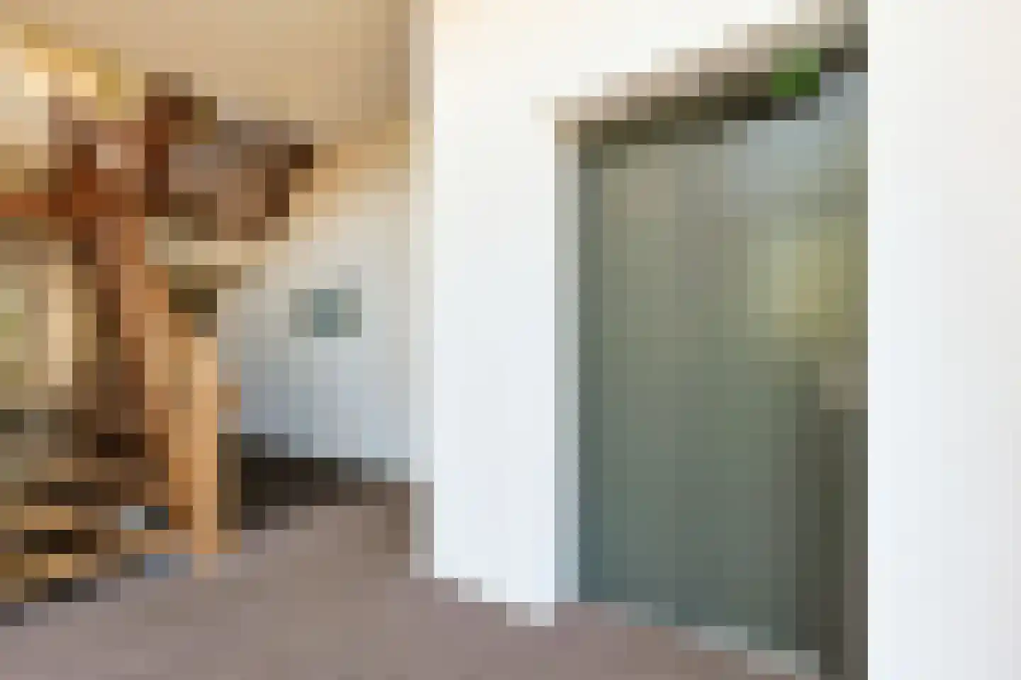 Langeraarseweg 82 G Ter Aar thumbnail 13