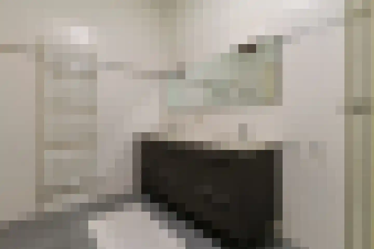 Langeraarseweg 82 G Ter Aar thumbnail 30