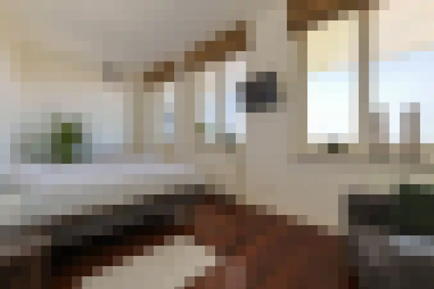 Langeraarseweg 82 G Ter Aar thumbnail 33