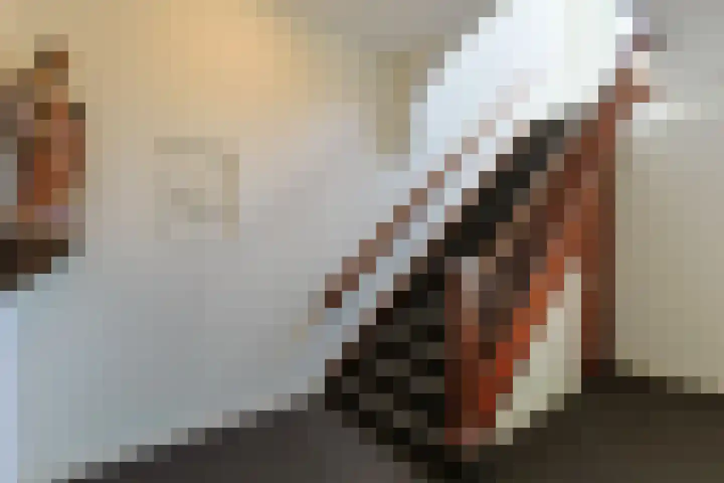Langeraarseweg 82 G Ter Aar thumbnail 6