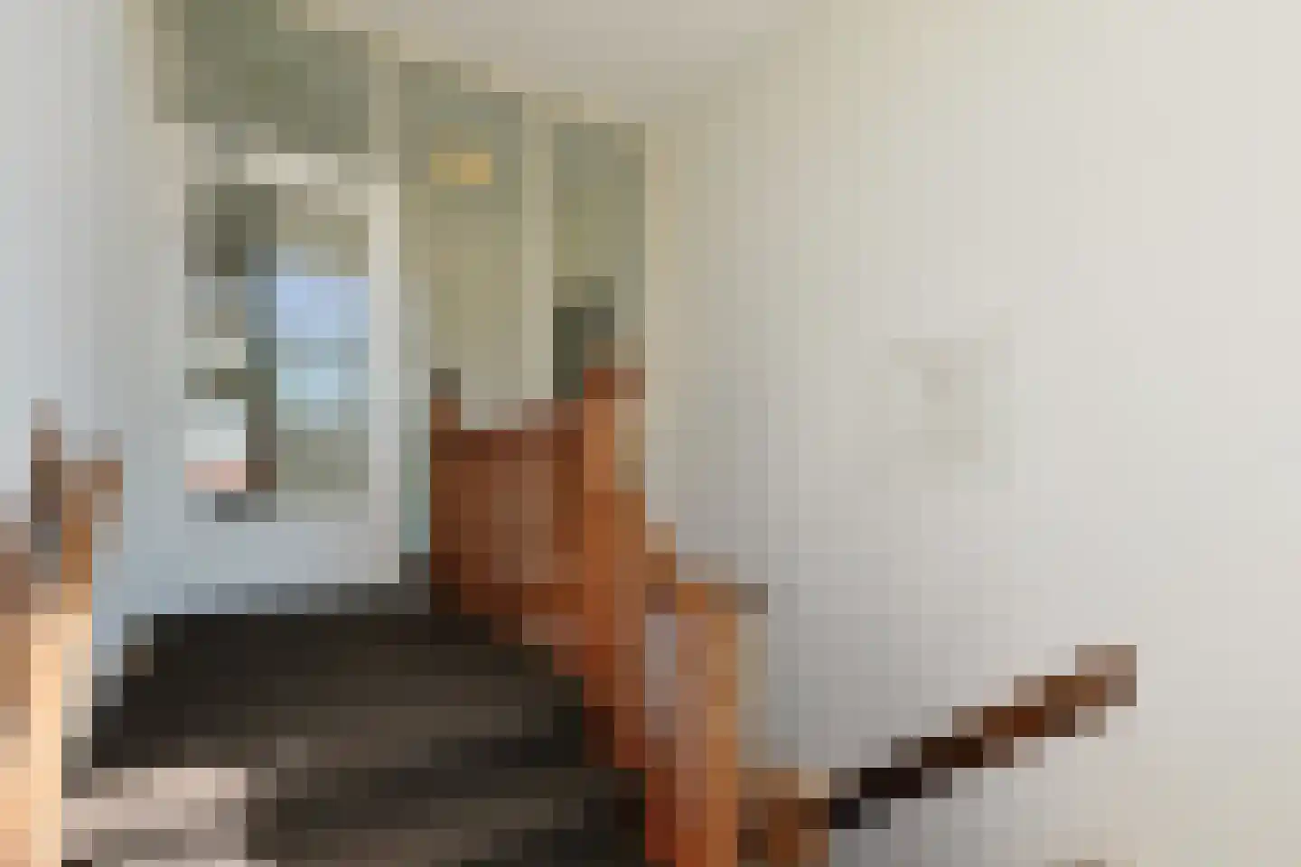 Langeraarseweg 82 G Ter Aar thumbnail 8