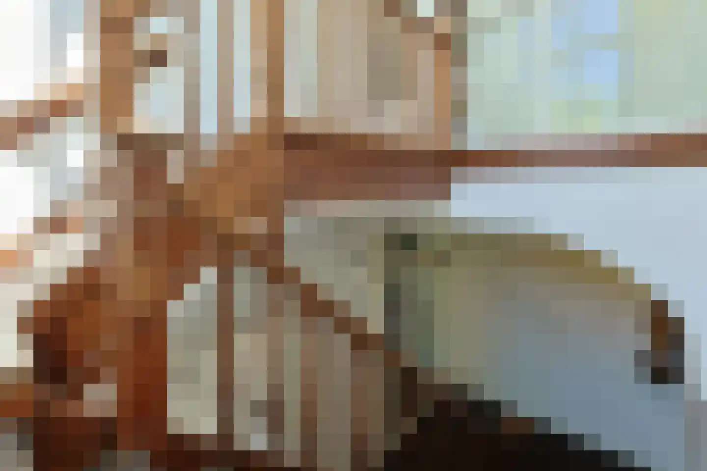 Langeraarseweg 82 G Ter Aar thumbnail 9