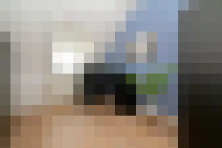 Langeraarseweg 82 I Ter Aar thumbnail 14