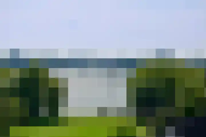 Langeraarseweg 82 I Ter Aar foto 2