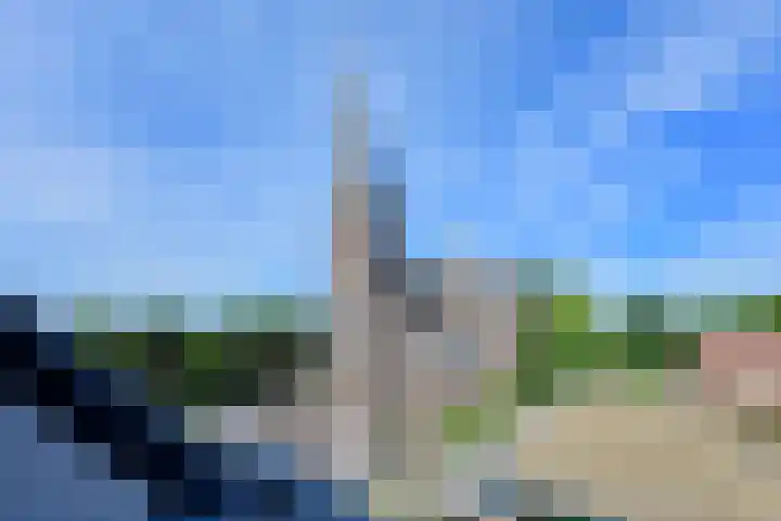 Langeraarseweg 82 I Ter Aar thumbnail 22