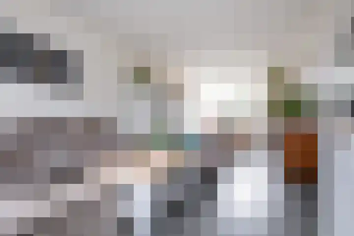 Langerak 64 Abbenes thumbnail 10