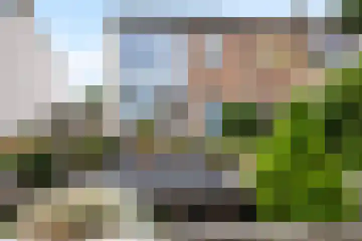 Langerak 64 Abbenes thumbnail 7