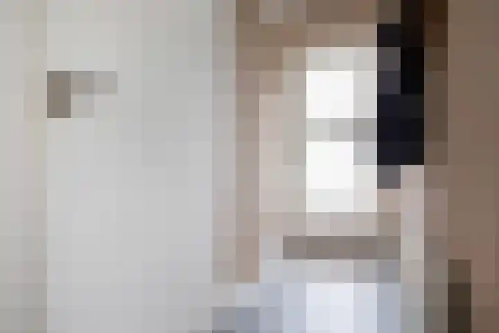 Langerak 64 Abbenes thumbnail 8