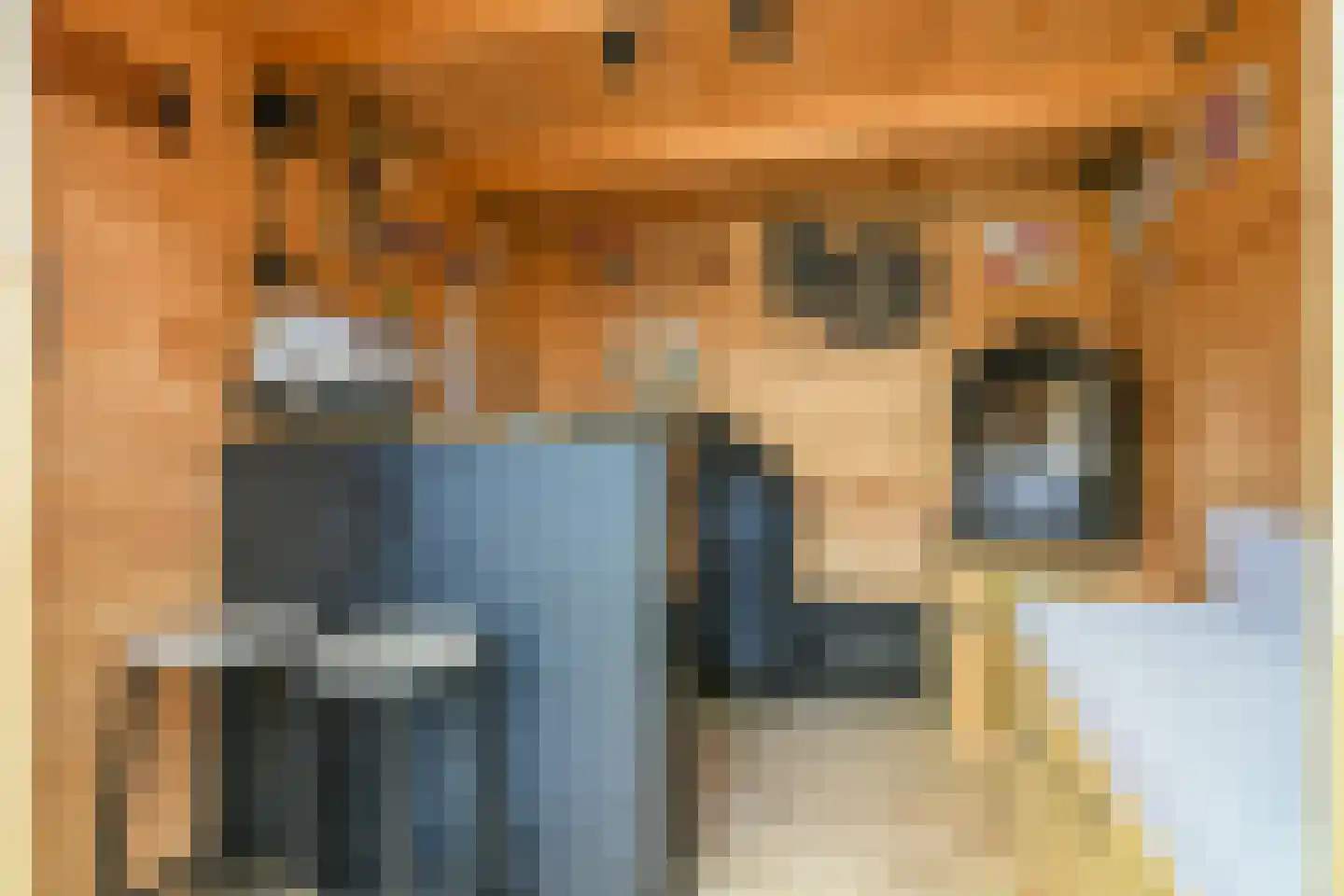 Langerak 8 Abbenes thumbnail 23