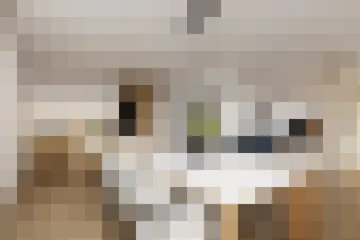 Langerakbaan 427 Utrecht thumbnail 19