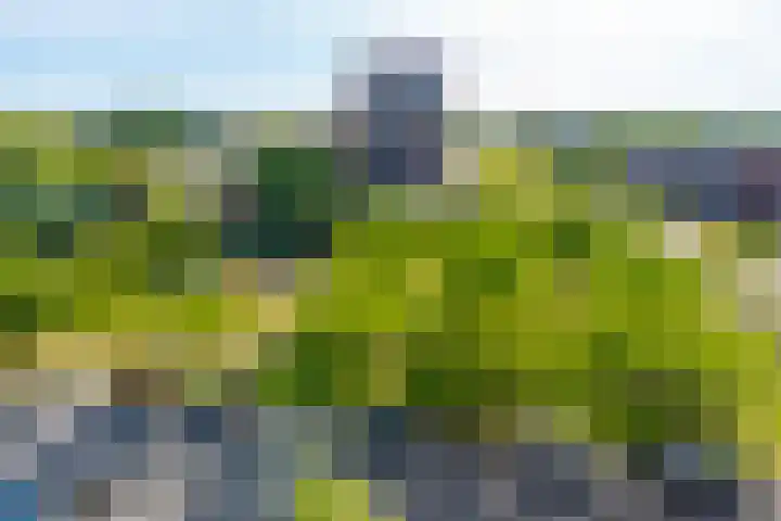 Langerakbaan 427 Utrecht thumbnail 35