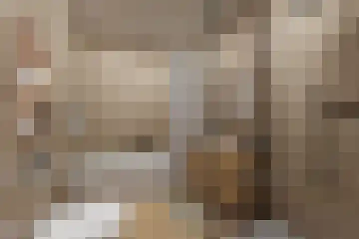 Langerakbaan 427 Utrecht thumbnail 40