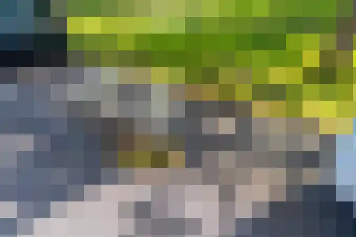 Langerakbaan 427 Utrecht thumbnail 43
