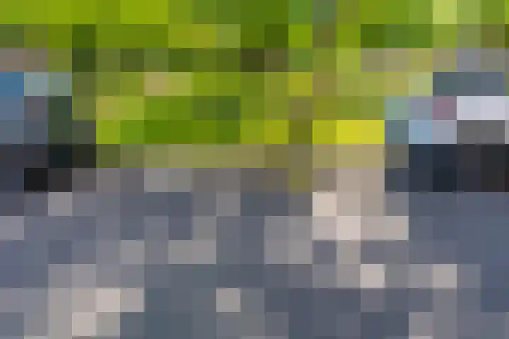 Langerakbaan 427 Utrecht thumbnail 44