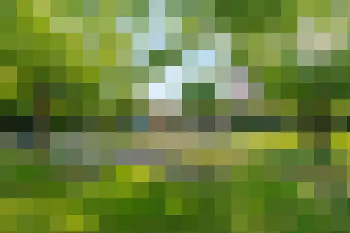 Langerakbaan 427 Utrecht thumbnail 45