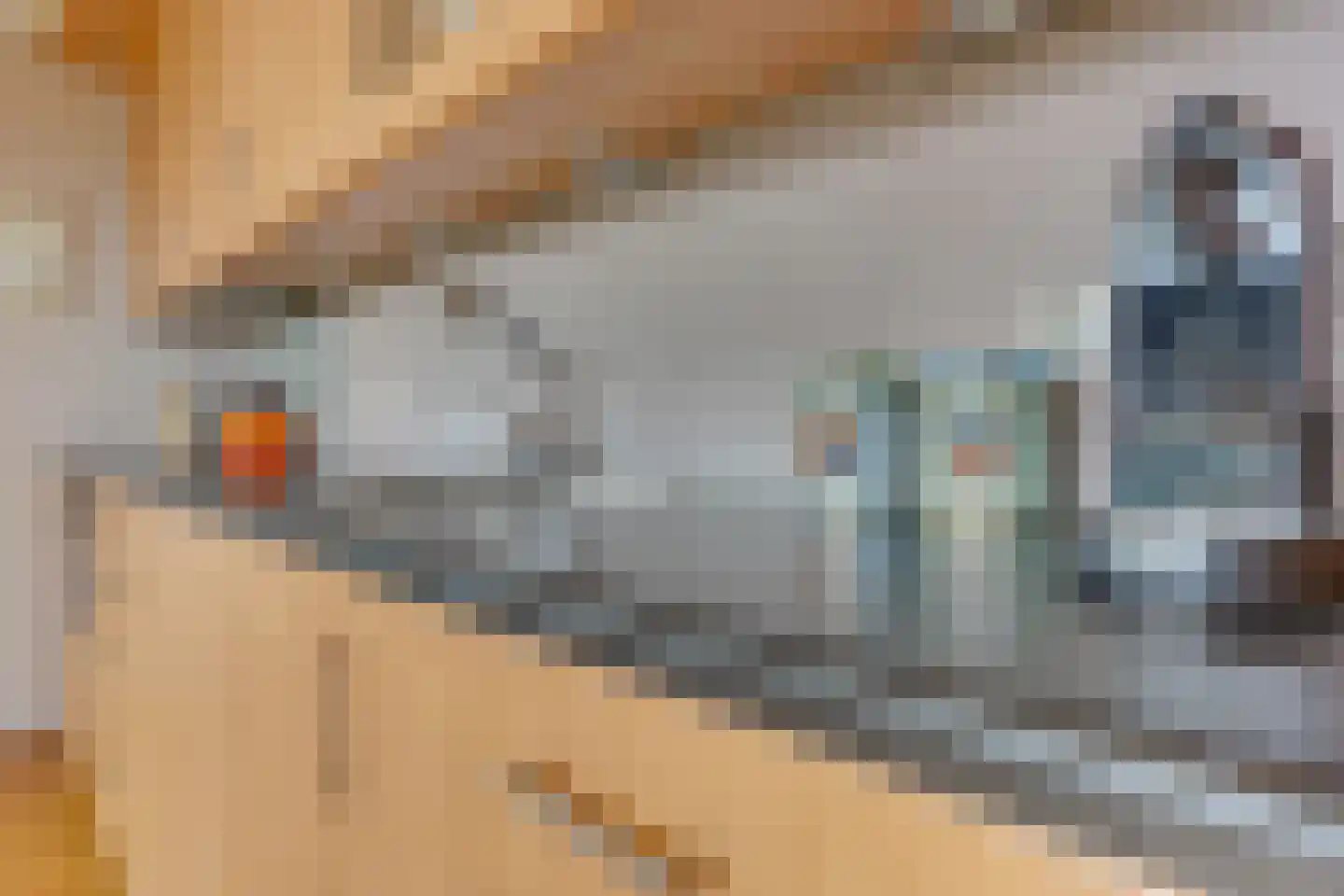 Langerakbaan 469 Utrecht thumbnail 14