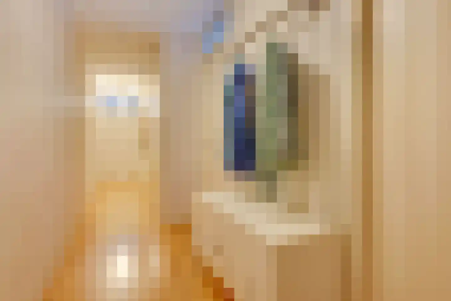 Langerakbaan 469 Utrecht thumbnail 8