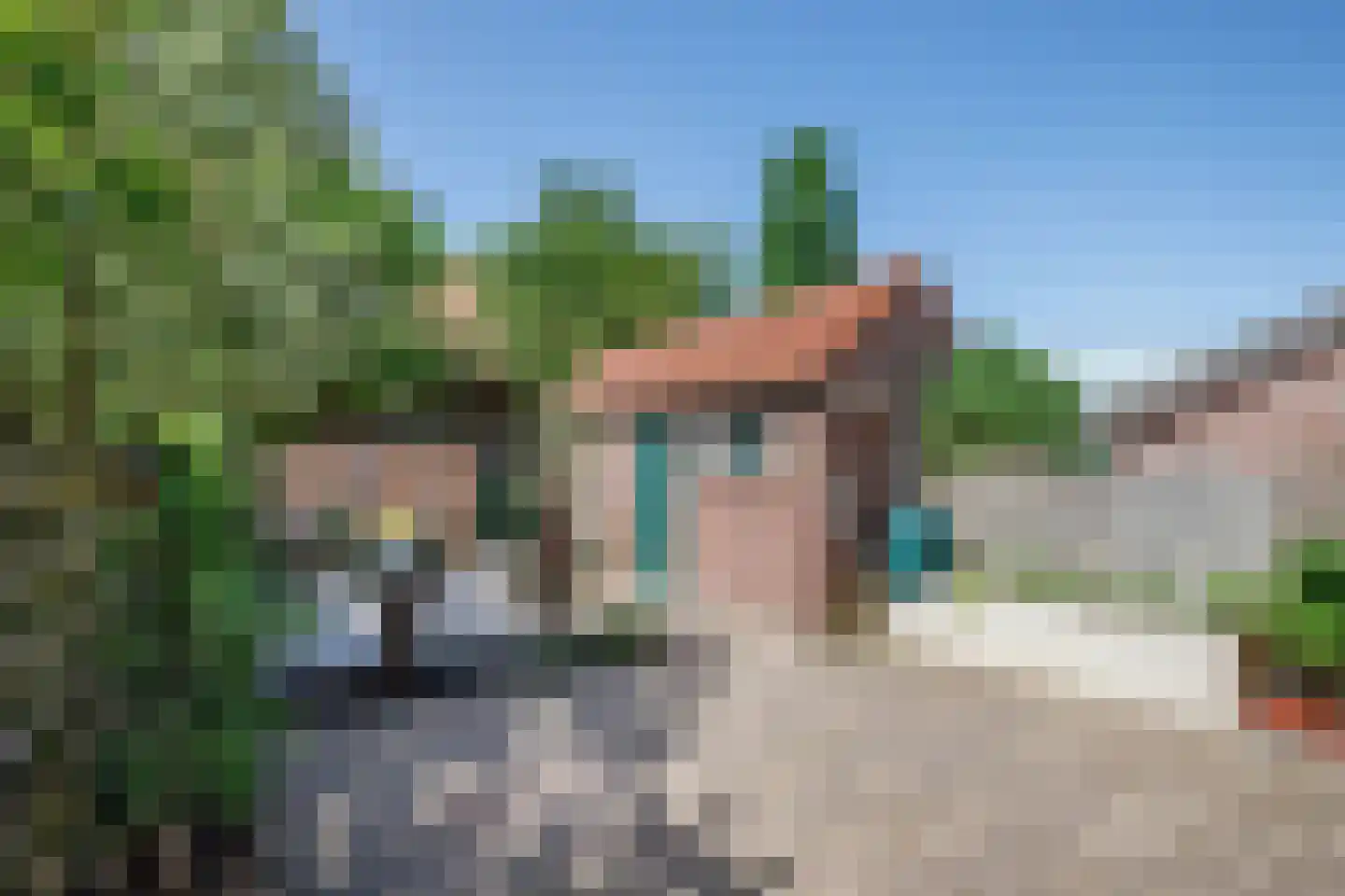Langerakkerweg 3 Schoonhoven thumbnail 25