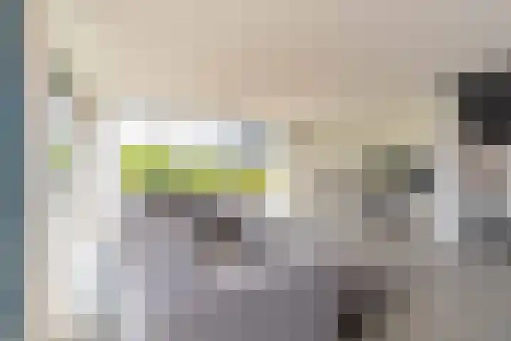 Langerakpolderweg 13 Arnemuiden thumbnail 11