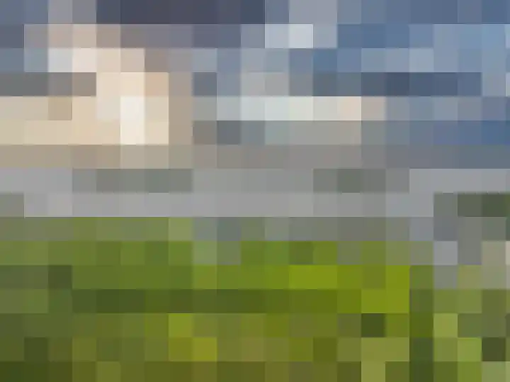 Langerakpolderweg 13 Arnemuiden thumbnail 37