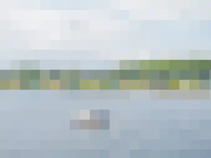 Langerakpolderweg 13 Arnemuiden thumbnail 38